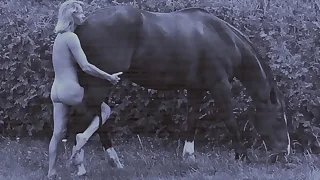 219 hairy porn videos